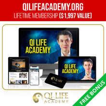 画像をギャラリービューアに読み込む, Qi Coil™ Mini System - Mobile Rife &amp; PEMF Therapy