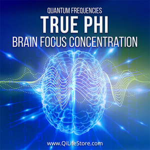 Brain Boost Bundle Quantum Frequencies