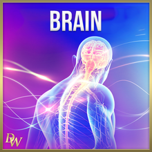 画像をギャラリービューアに読み込む, Brain Higher Quantum Frequencies