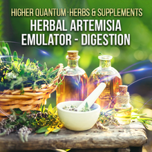 画像をギャラリービューアに読み込む, Herbs And Supplements Bundle Higher Quantum Frequencies