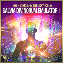 画像をギャラリービューアに読み込む, Mind Expansion Bundle | Salvia Divinorum Emulator 1