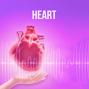 Organs