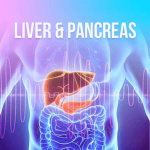 Organs