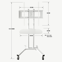 画像をギャラリービューアに読み込む, Professional Stand For Aura Coil