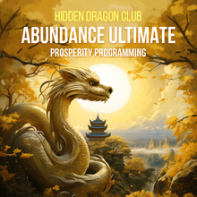 画像をギャラリービューアに読み込む, Resonant Console Ultimate (Abundance Business &amp; Peak Potential)