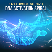 Load image into Gallery viewer, Wellness 1 Collection (Practitioner Kit) Higher Quantum Frequencies