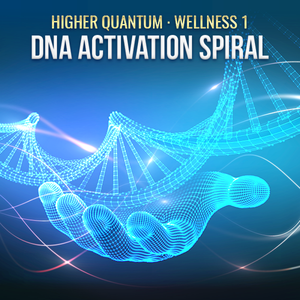 Wellness 1 Collection (Practitioner Kit) Higher Quantum Frequencies